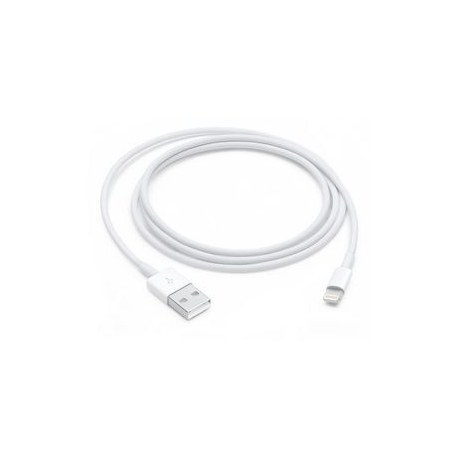 Apple - Lightning cable - USB male to Lightning male - 1 m - white - for iPad / iPhone / iPod (Lightning) - 0