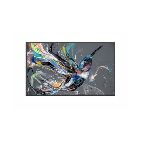Philips 32BDL3511Q - 32" Diagonal Class (31.5" viewable) - Q-Line LED-backlit LCD display - digital signage - 1080p 1920 x 1080 - 0