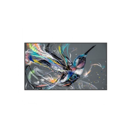 Philips 50BDL3511Q - 50" Diagonal Class (49.5" viewable) - Q-Line LED-backlit LCD display - digital signage - 4K UHD (2160p) 3840 x 2160 - 0