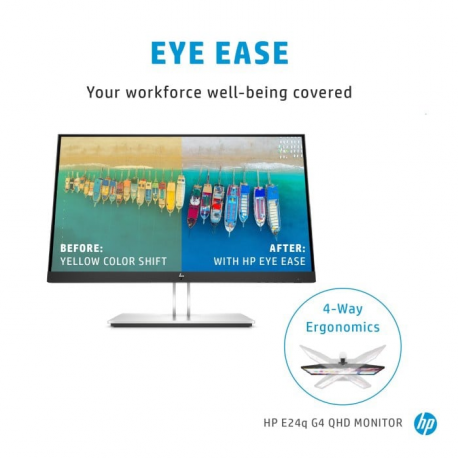 HP E24q G4 - E-Series - LED monitor - 24" (23.8" viewable) - 2560 x 1440 QHD @ 60 Hz - IPS - 250 cd / m² - 1000:1 - 5 ms - HDMI, VGA, DisplayPort - black - promo - for P / N: 5P6P8EA#ABU - 5