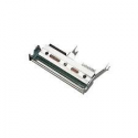 Honeywell - 300 dpi - printhead - for Honeywell PD45S, PD45S0C, PD45S0F