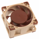 Noctua NF-A4x20 FLX - Case fan - 40 mm