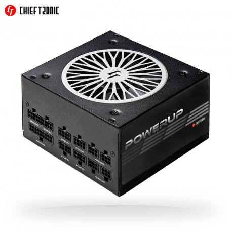 Chieftronic PowerUp Series 650W - Power supply (internal) - ATX12V 2.53 - 80 PLUS Gold - AC 100-240 V - 650 Watt - active PFC - 6
