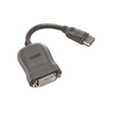 Lenovo - DisplayPort adapter - DisplayPort (M) to DVI-D (F) - 20 cm