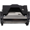 Zebra - 300 dpi - printhead - for ZXP Series 7