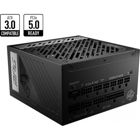MSI MPG A1000G PCIE5 - Power supply (internal) - ATX12V  /  EPS12V - 80 PLUS Gold - AC 100-240 V - 1000 Watt - active PFC - 3