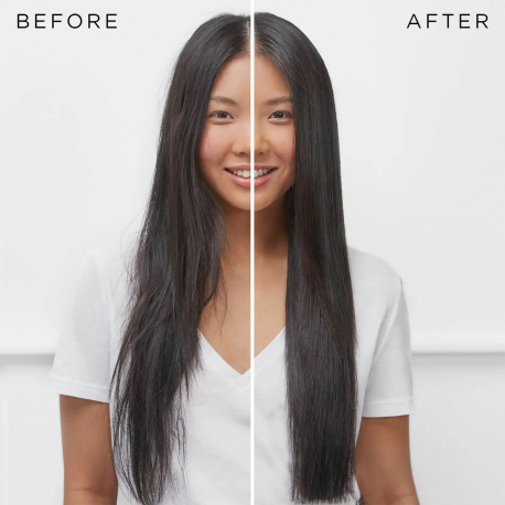 Equip Life - Patch cable - RJ-45 (M) to RJ-45 (M) - 50 cm - UTP - CAT 6 - molded, stranded - blue - 3