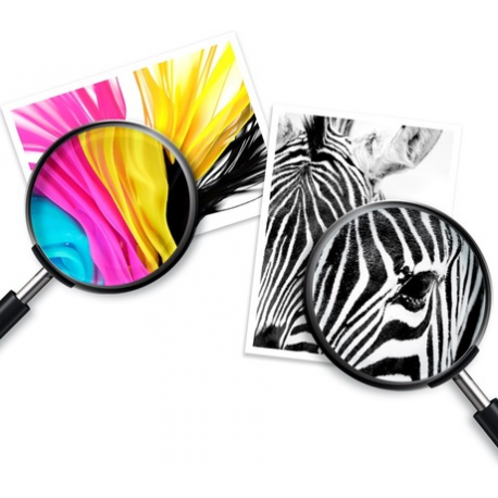 303Xl High Yield Tri-Color - 3