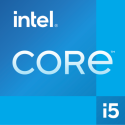 Intel Core i5 13500 - 2.5 GHz - 14-core - 20 threads - 24 MB cache - FCLGA1700 Socket - OEM
