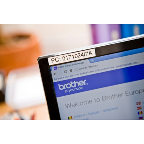 Brother TZe-231S - Black on white - Roll (1.2 cm x 4 m) 1 cassette(s) laminated tape - for Brother PT-D210, D600, H110; P-Touch PT-1880, E800, H110, P900; P-Touch Cube Plus PT-P710 - 6