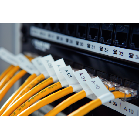 DYMO Rhino 5200 - Hard Case Kit - labelmaker - B / W - Roll (1.9 cm) - cutter - yellow - 32