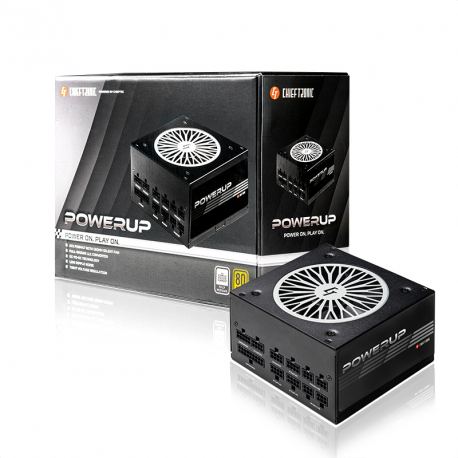 Chieftronic PowerUp Series 650W - Power supply (internal) - ATX12V 2.53 - 80 PLUS Gold - AC 100-240 V - 650 Watt - active PFC - 21