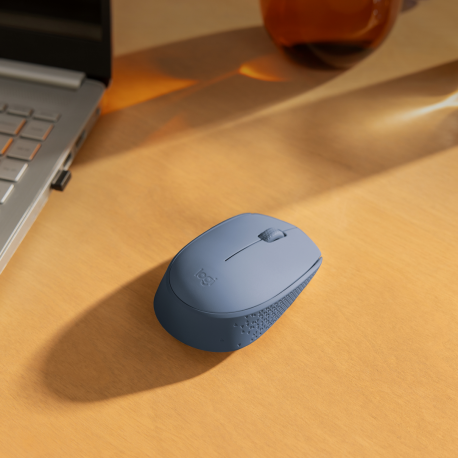 Logitech M171 - Mouse - right and left-handed - optical - 3 buttons - wireless - 2.4 GHz - USB wireless receiver - blue/grey - 1