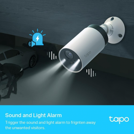 Tapo C420 V1 - Network surveillance camera - indoor, outdoor - dust resistant  /  water resistant - colour (Day&Night) - 2560 x 1440 - 2K - fixed focal - audio - wireless - Wi-Fi - 2.4GHz radio - H.264 - 3