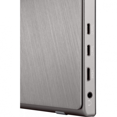 ViewSonic TD1655 - LED monitor - 15.6" - touchscreen - 1920 x 1080 Full HD (1080p) - TN - 250 cd / m² - 800:1 - 6.5 ms - HDMI, 2xUSB-C - speakers - 11