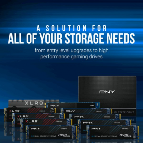 PNY CS2230 - SSD - 1 TB - internal - M.2 2280 - PCIe 3.0 x4 (NVMe) - 1
