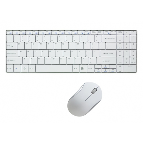 LogiLink Combo Set with Autolink - Keyboard and mouse set - wireless - 2.4 GHz - German - white - 0