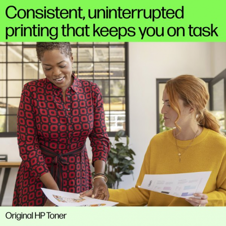 HP 217Z - High Yield - black - original - LaserJet - toner cartridge (W2170Z) - 9