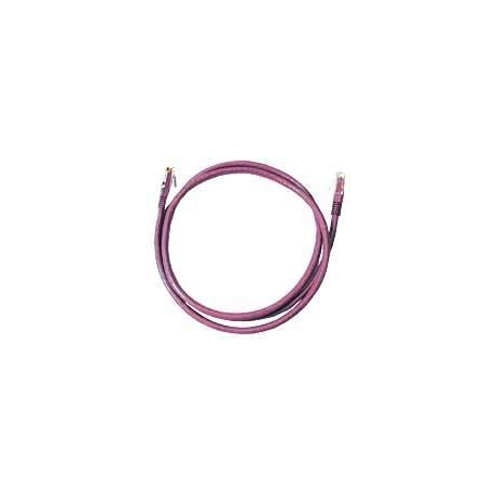 U/UTP CAT6 0.5M Purple LSZH - 1