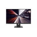 Lenovo ThinkVision E24-30 - LED monitor - 24" (23.8" viewable) - 1920 x 1080 Full HD (1080p) @ 100 Hz - IPS - 250 cd / m² - 1300:1 - 4 ms - HDMI, VGA, DisplayPort - speakers - raven black