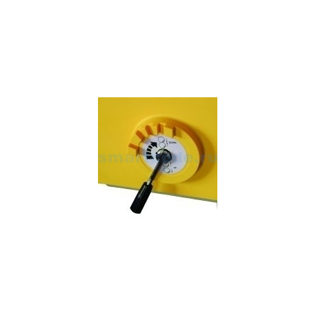 PanzerGlass - Screen protector for mobile phone - ultra-wide fit - glass - frame colour black - for Motorola Moto G72, G84 - 6