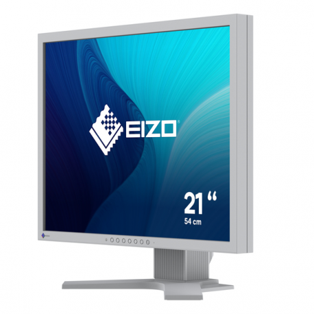 EIZO FlexScan S2134 - LED monitor - 21.3" - 1600 x 1200 @ 60 Hz - IPS - 500 cd / m² - 1600:1 - 6 ms - DVI-D, VGA, DisplayPort - black - 6