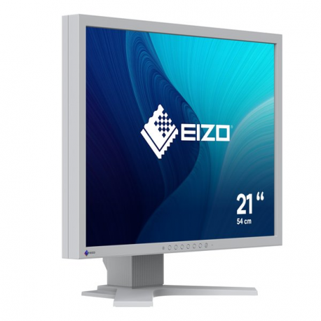 EIZO FlexScan S2134 - LED monitor - 21.3" - 1600 x 1200 @ 60 Hz - IPS - 500 cd / m² - 1600:1 - 6 ms - DVI-D, VGA, DisplayPort - light grey - 4