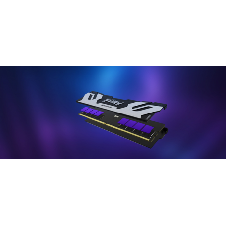 Kingston FURY Renegade - DDR5 - module - 48 GB - DIMM 288-pin - 6000 MHz / PC5-48000 - CL32 - 1.35 V - unbuffered - on-die ECC - silver / black - 15