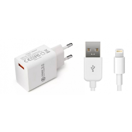 CoreParts - Power adapter - 12 Watt - white - for Apple iPad / iPhone / iPod (Lightning) - 0