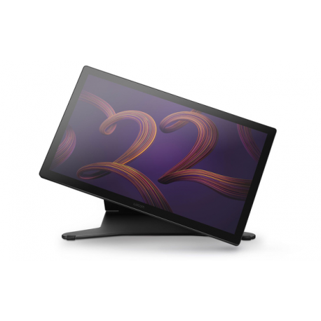 Wacom Cintiq Pro 22 - Digitiser w / LCD display - 47.6 x 26.8 cm - multi-touch - electromagnetic - 8 buttons - wired - HDMI, DisplayPort, USB-C - 0