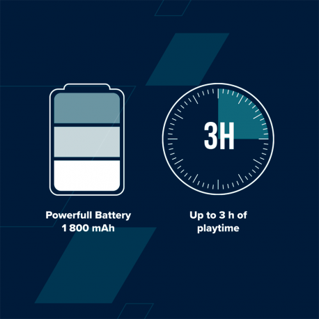 Canyon BSP-8 - Speaker - for portable use - wireless - Bluetooth - USB - 10 Watt - burgundy - 3