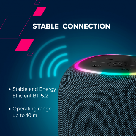 Canyon BSP-8 - Speaker - for portable use - wireless - Bluetooth - USB - 10 Watt - graphite - 2