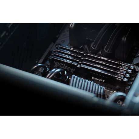 Kingston FURY Beast - DDR5 - kit - 64 GB: 2 x 32 GB - DIMM 288-pin - 6000 MHz / PC5-48000 - CL30 - 1.4 V - unbuffered - on-die ECC - black - 17