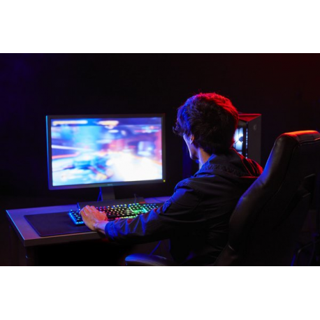 Kingston FURY Beast - DDR5 - module - 16 GB - DIMM 288-pin - 6400 MHz  /  PC5-51200 - CL32 - 1.4 V - unbuffered - on-die ECC - black - 20