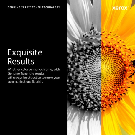 Xerox WorkCentre 7200i Series - Black - original - toner cartridge Sold - for WorkCentre 7120, 7125, 7220, 7225 - 7