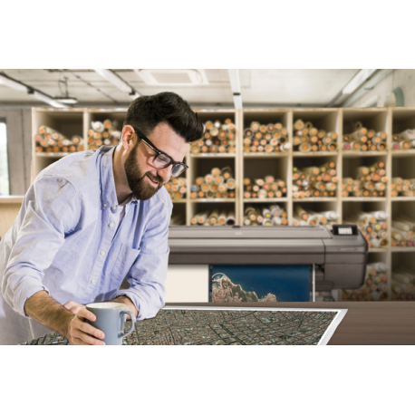 HP DesignJet Z6 PostScript - 44" large-format printer - colour - ink-jet - Roll (111.8 cm) - 2400 x 1200 dpi - up to 1.1 min / page (mono)  /  up to 1.1 min / page (colour) - capacity: 1 roll - Gigabit LAN, USB host - cutter - 34