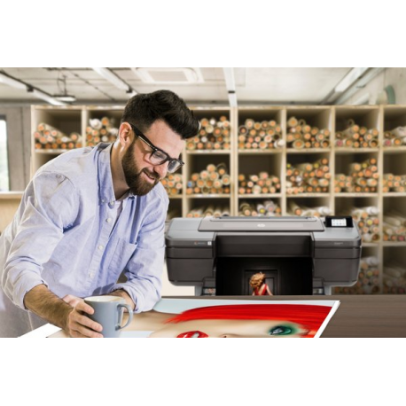 HP DesignJet Z9+ PostScript - 44" large-format printer - colour - ink-jet - Roll (111.8 cm) - 2400 x 1200 dpi - up to 1.2 min / page (mono)  /  up to 1.2 min / page (colour) - Gigabit LAN, USB host - cutter - 30