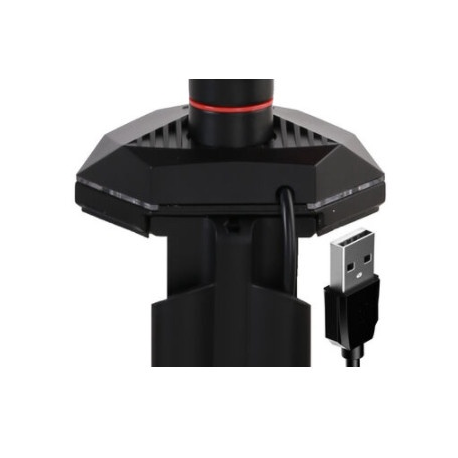 Iiyama DSG3001C-R1 - Mounting kit - for LCD display (adjustable arm) - black, dynamic red - screen size: 17"-30" - desk-mountable - 13