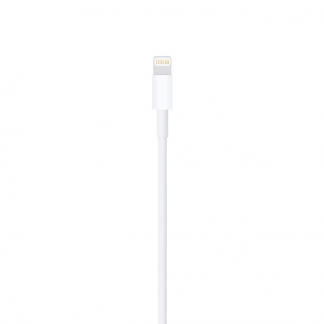 Apple - Lightning cable - Lightning male to USB male - 1 m - 2