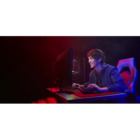 Kingston FURY Beast - DDR5 - module - 16 GB - DIMM 288-pin - 3000 MHz  /  PC5-48000 - CL36 - 1.35 V - unbuffered - on-die ECC - black - 9