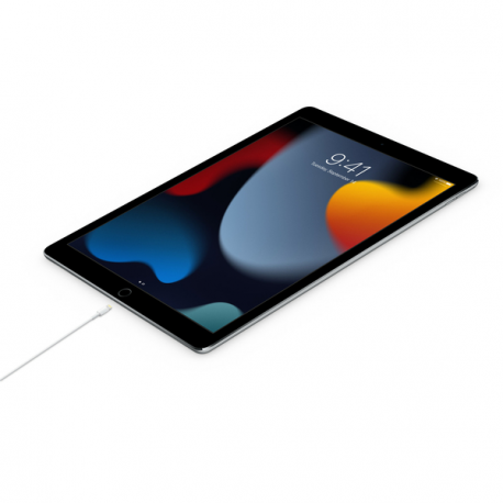 Apple - Lightning cable - 24 pin USB-C male to Lightning male - 2 m - 2