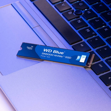 WD Blue SN5000 WDS500G4B0E - SSD - 500 GB - internal - M.2 2280 - PCIe 4.0 x4 (NVMe) - 3
