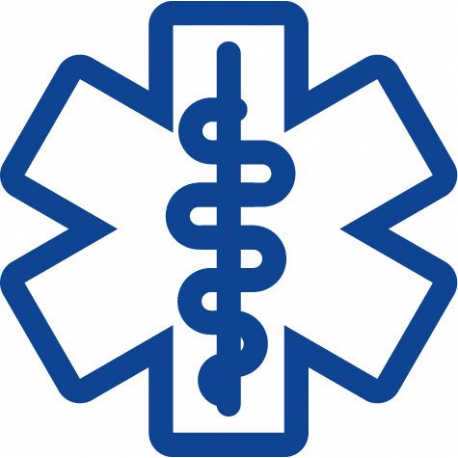 Varta Professional V 8 GS - Battery - Alkaline - 52 mAh - 1