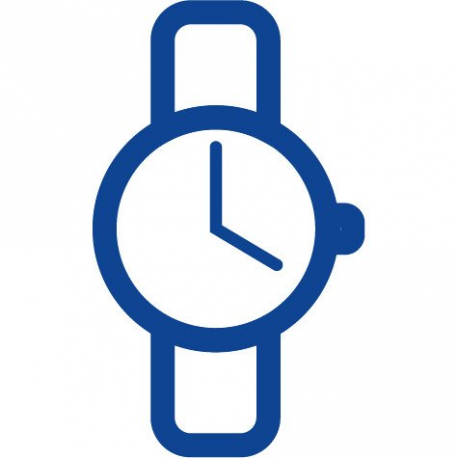 Varta Professional V 8 GS - Battery - Alkaline - 52 mAh - 4