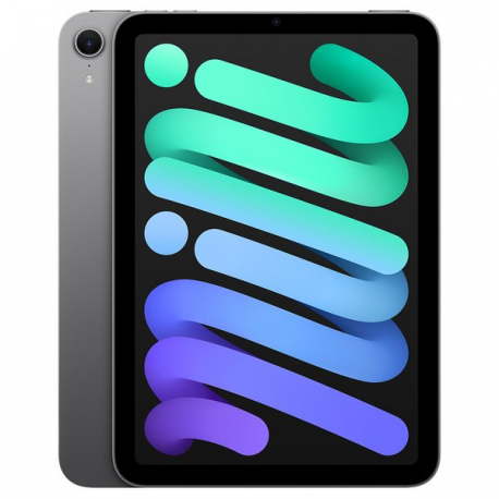 Apple iPad mini A17 Pro Wi-Fi - Tablet - 128 GB - 8.3" IPS (2266 x 1488) - space grey - 1