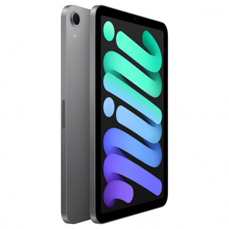 Apple iPad mini A17 Pro Wi-Fi - Tablet - 256 GB - 8.3" IPS (2266 x 1488) - space grey - 2