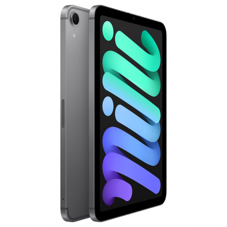 Apple iPad mini A17 Pro Wi-Fi + Cellular - Tablet - 256 GB - 8.3" IPS (2266 x 1488) - 3G, 4G, 5G - space grey - 2