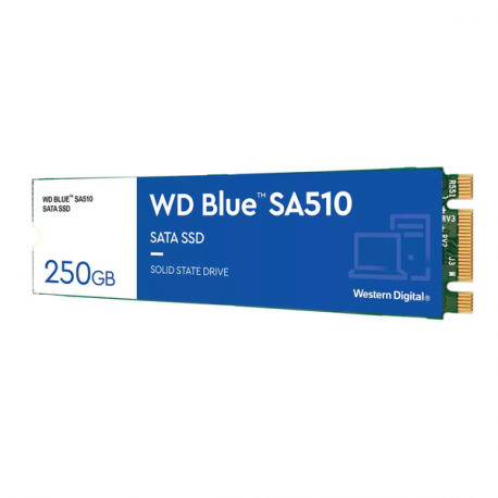 WD Blue SA510 WDS250G3B0B-00AXS0 - SSD - 250 GB - internal - M.2 2280 - SATA 6Gb/s - blue - 2