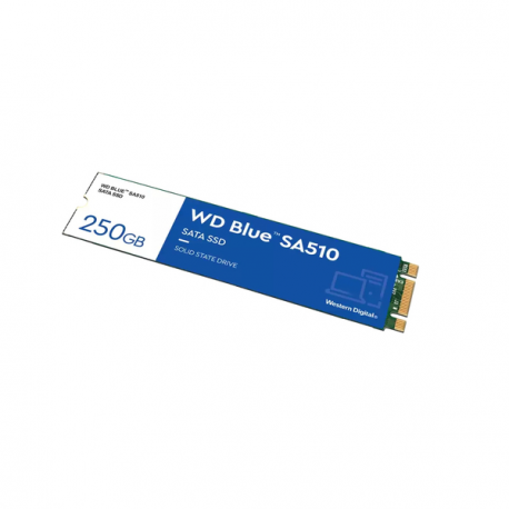 WD Blue SA510 WDS250G3B0B-00AXS0 - SSD - 250 GB - internal - M.2 2280 - SATA 6Gb/s - blue - 4