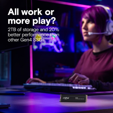 Crucial P310 - SSD - 1 TB - internal - M.2 2280 - PCIe 4.0 x4 (NVMe) - integrated heatsink - 1